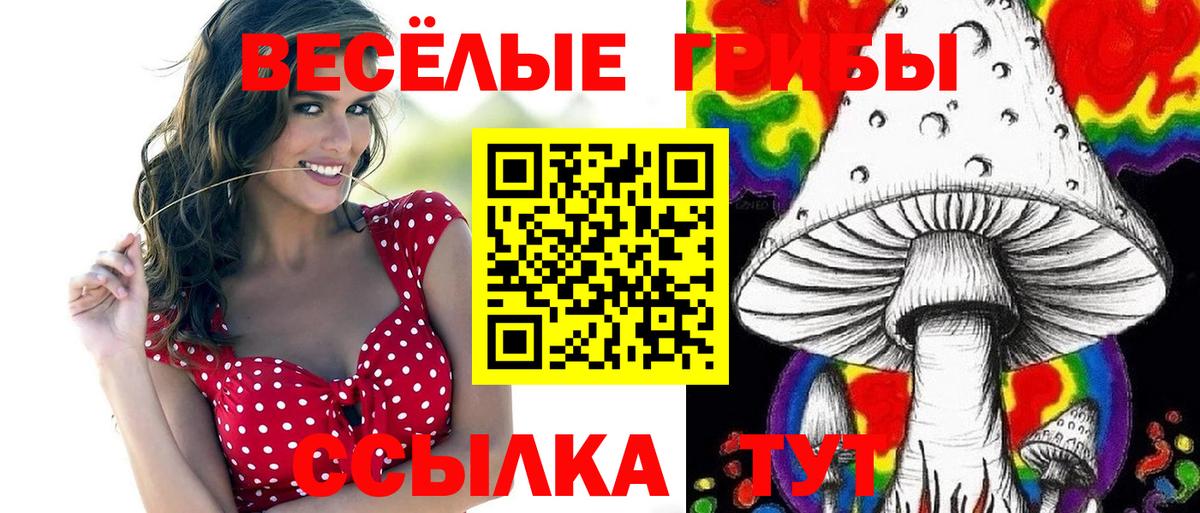 Черногорск  Псилоцибиновые грибы Psilocybine cubensis  Вход с VPN 