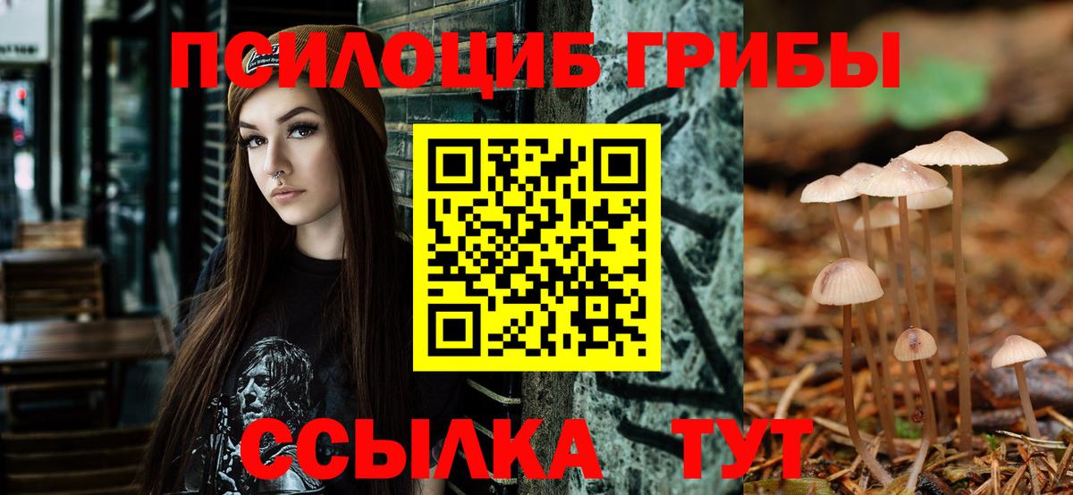 Псилоцибиновые грибы Magic Shrooms Черногорск